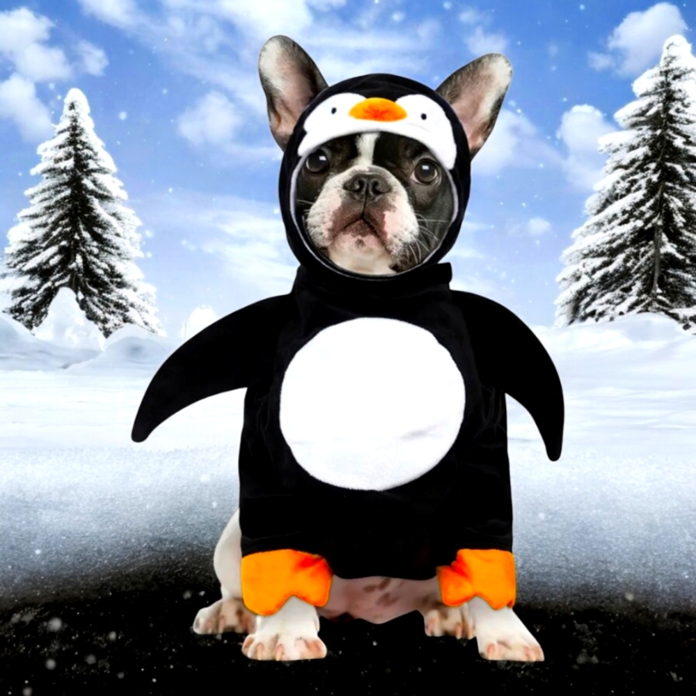 Penguin Dog Costume with Orange Accents, S